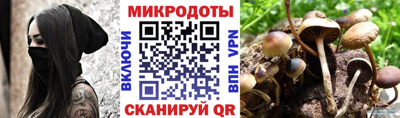 где найти наркотики  Ульяновск  Галлюциногенные грибы Magic Shrooms 