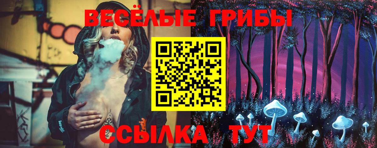 где можно купить наркотик  Галлюциногенные грибы Magic Shrooms  Галлюциногенные грибы Cubensis  Вход с VPN  Ульяновск 